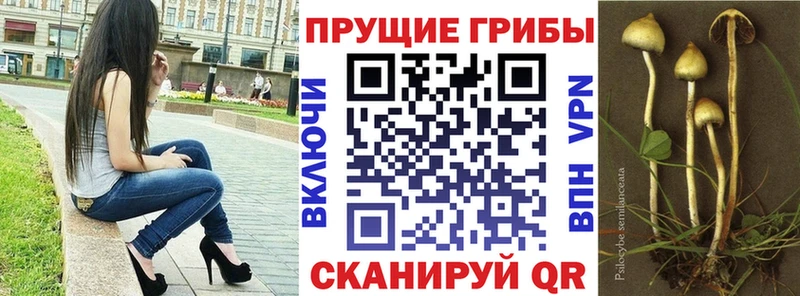 Галлюциногенные грибы мицелий  Елабуга 